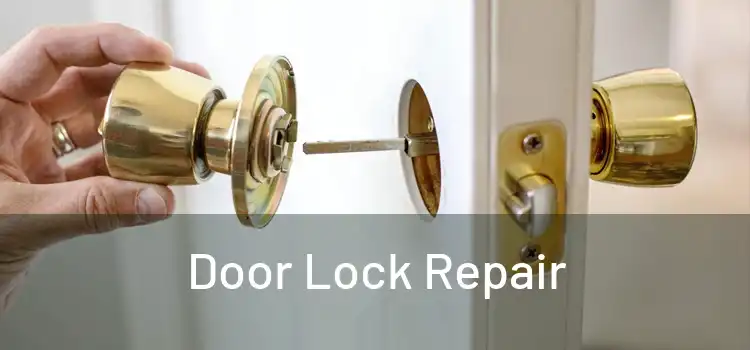 Door Lock Repair