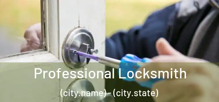 Professional Locksmith (city.name) - (city.state)